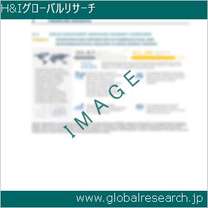 グローバルリサーチ調査レポートのイメージ